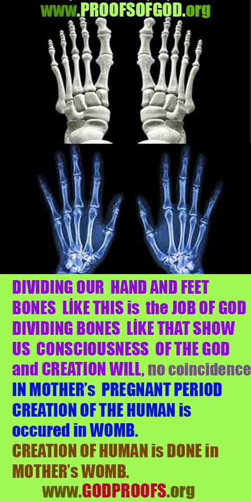 Proofs of god, god-evidences, god-real, god-exists, god-signs, god-proofs, evidences of god