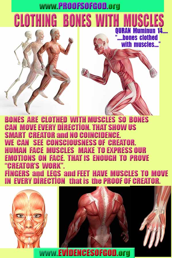 Proofs of god, god-evidences, god-real, god-exists, god-signs, god-proofs, evidences of god